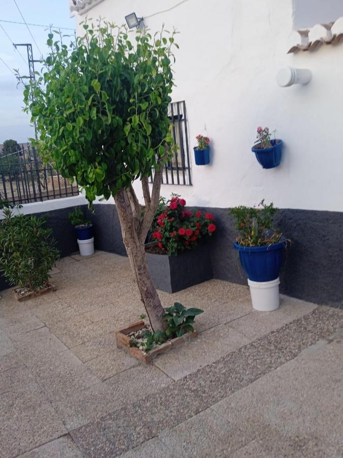 La Cueva De Guadixヴィラ エクステリア 写真